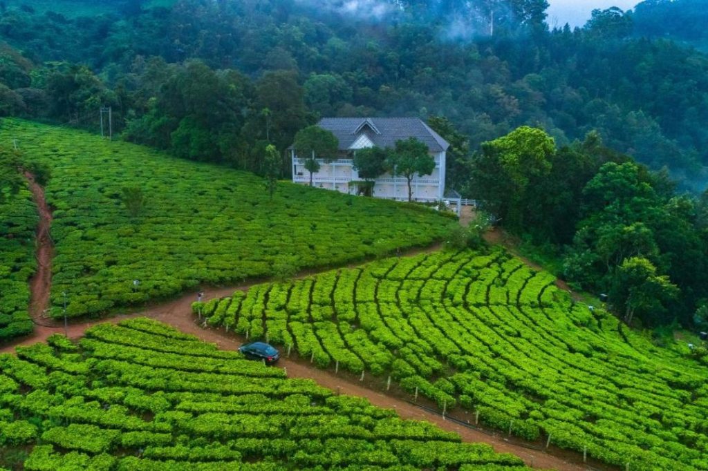 Tea Harvester hotel for family in Munnar